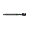 DIN371/DIN376 Spiral Flute Steam Homo (TQ813)