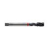 DIN371/DIN376 Spiral Flute Steam Homo Recessed Thread (TB913)