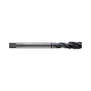 DIN371/DIN376 Spiral Flute Steam Homo(TQ833)
