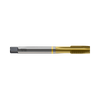 DIN374 SYNCHRO Spiral Point TiN (TTS34)